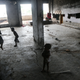 Even still, the situation in Rio’s favelas is much, much worse (Image: Getty)